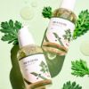 Изображение Успокаивающая сыворотка с полынью Round Lab Mugwort Calming Serum, 50 мл