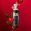 Изображение Бальзам против выпадения с маслом камелии Daeng Gi Meo Ri Dlae Soo Hair Loss Care Treatment, 400 мл